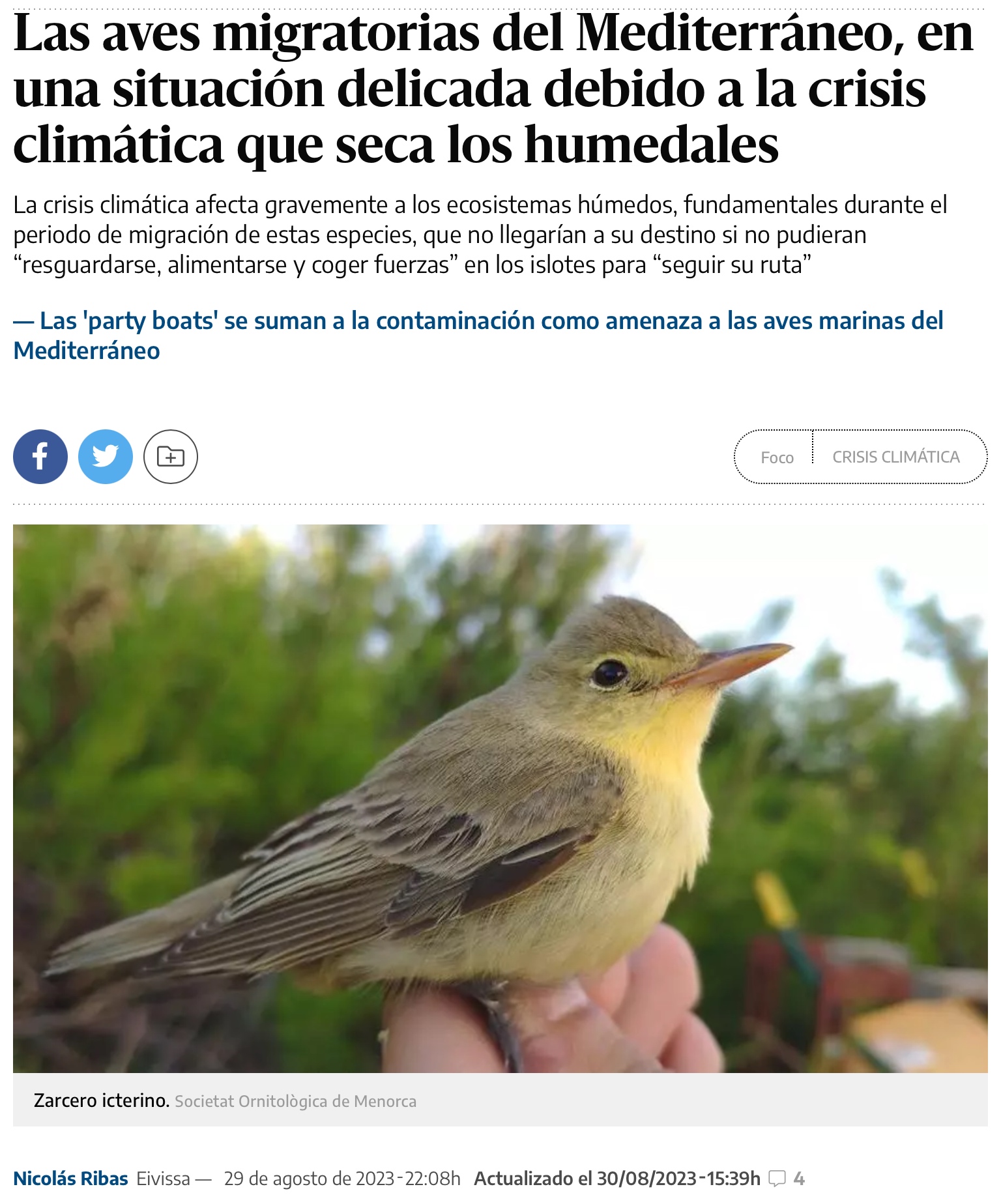 migración aves Ibiza